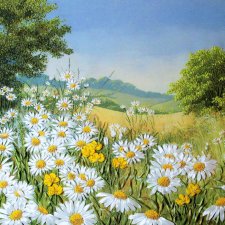 Подари мне облако ромашек