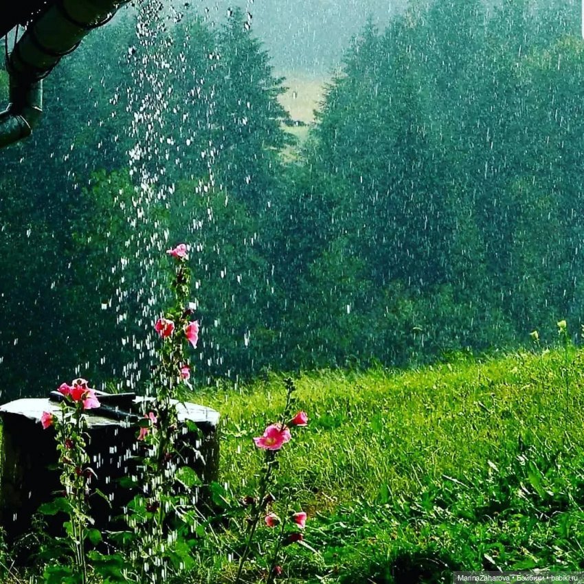 Я люблю дождь...,а Вы — Болталка и разговоры обо всем: жизнь