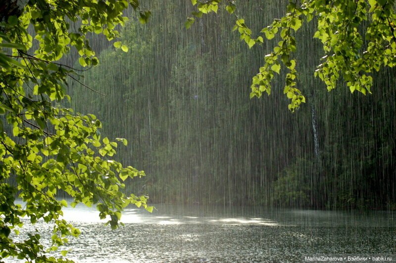 Я люблю дождь...,а Вы — Болталка и разговоры обо всем: жизнь (фото 9)