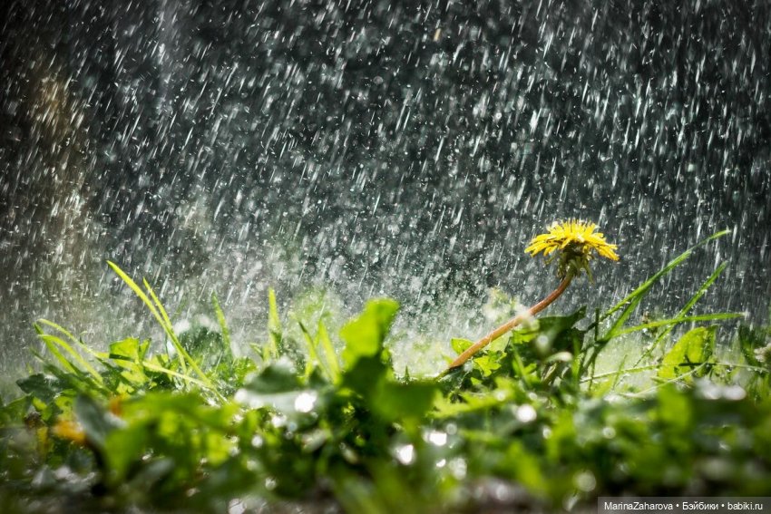 Я люблю дождь...,а Вы — Болталка и разговоры обо всем: жизнь