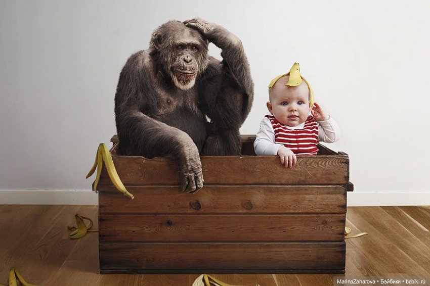 А давайте... просто все улыбнемся (фото 2)