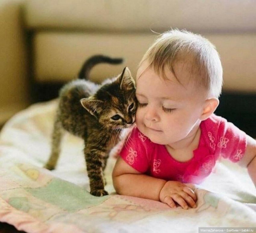 А давайте... просто все улыбнемся (фото 4)