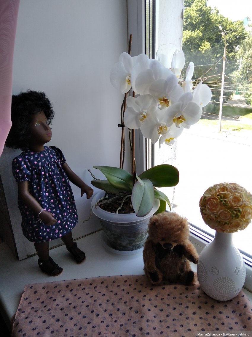 Девочка - тайна,девочка - загадка.Моя Кора