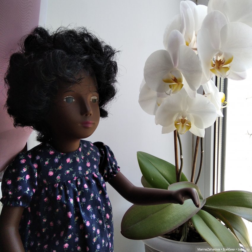 Девочка - тайна,девочка - загадка.Моя Кора