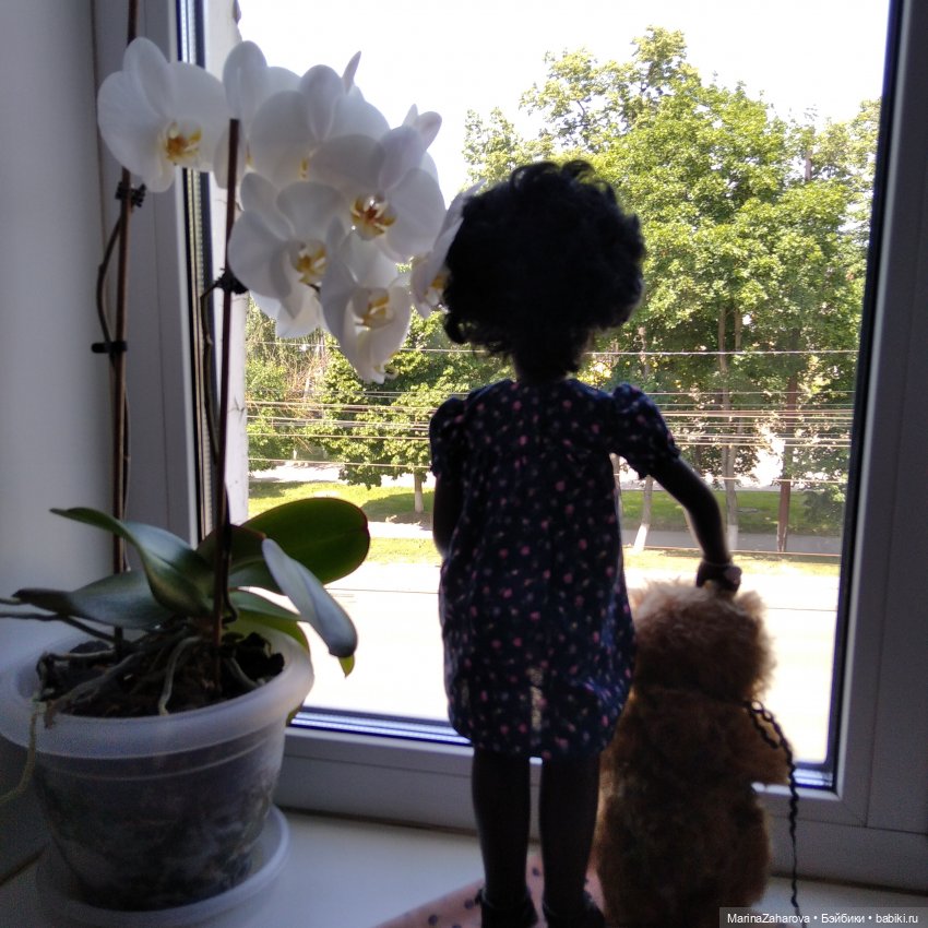 Девочка - тайна,девочка - загадка.Моя Кора (фото 6)