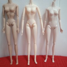 Шарнирное тело 1/6