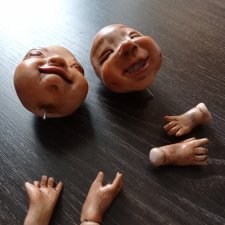 Коллекция "Насекомые"