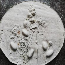 Ботанический барельеф