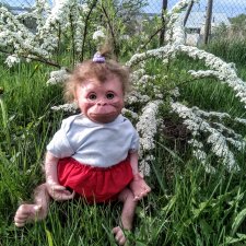 Обезьяна Фандю