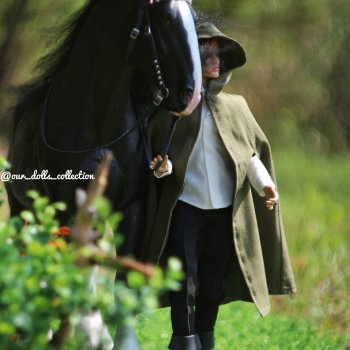 Новый заказ