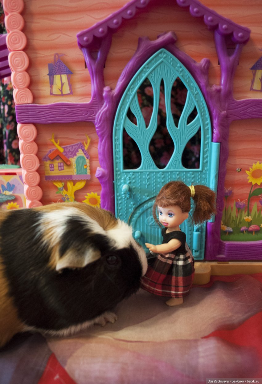 Маленькие мечты маленькой девочки. Часть 2 (фото 4)