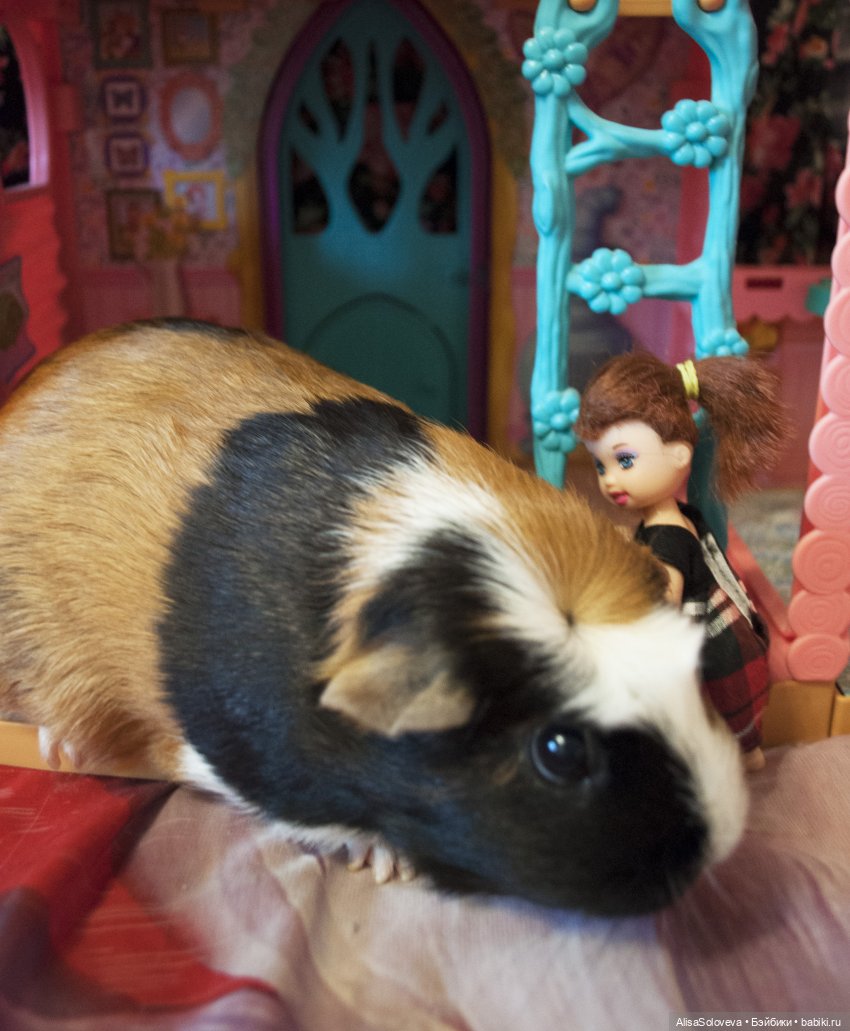 Маленькие мечты маленькой девочки. Часть 2 (фото 5)