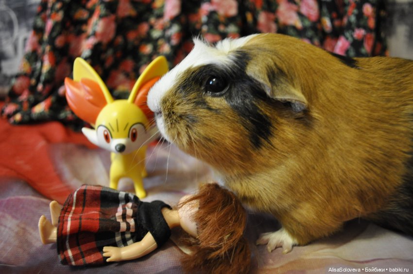 Маленькие мечты маленькой девочки. Часть 2 (фото 10)