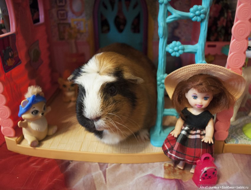 Маленькие мечты маленькой девочки. Часть 2 (фото 6)