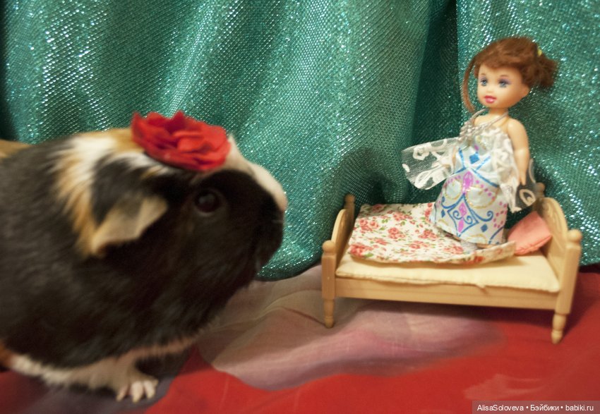 Маленькие мечты маленькой девочки