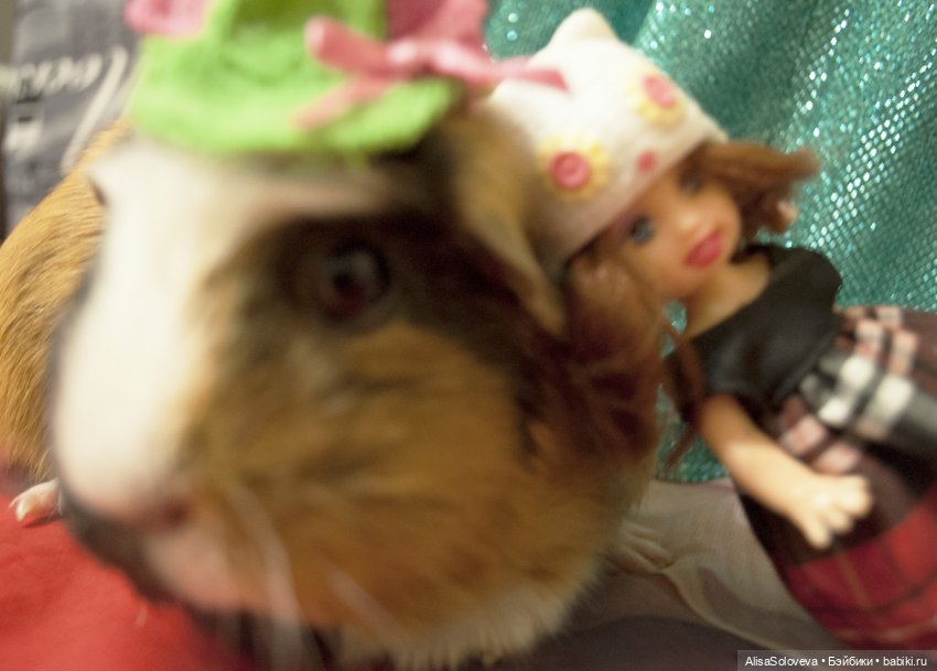 Маленькие мечты маленькой девочки (фото 4)