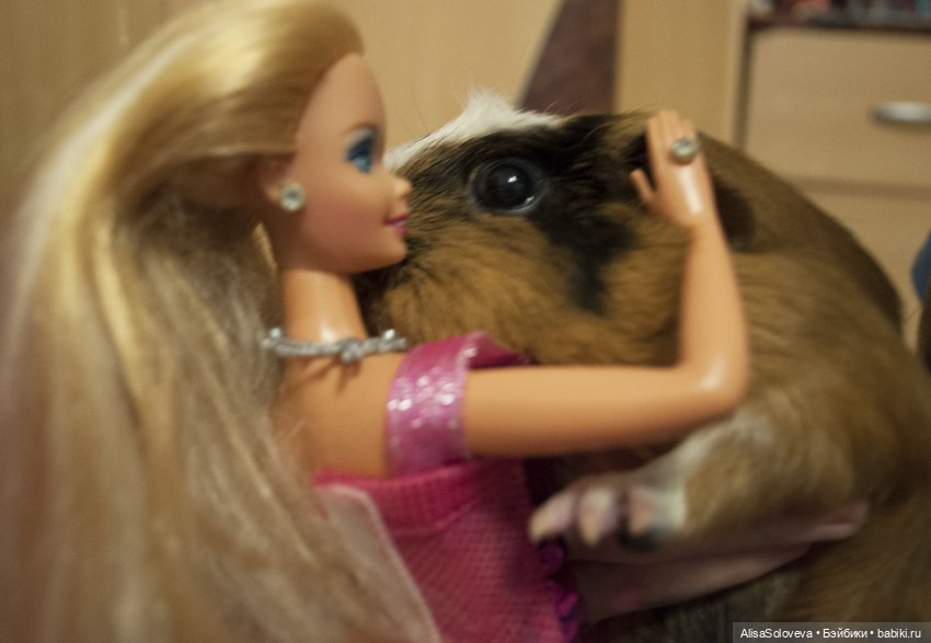 Фотоссесия Барби — Болталка и разговоры обо всем: жизнь (фото 5)