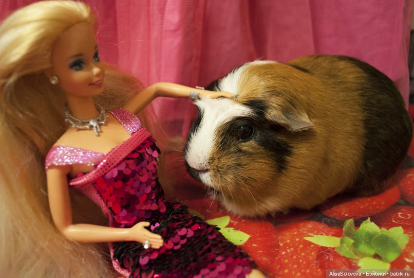 Фотоссесия Барби — Болталка и разговоры обо всем: жизнь (фото 4)