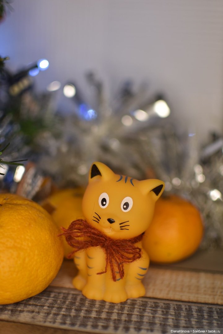 Как Анфиса в дом новогоднее настроение принесла (фото 8)