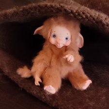 Новый житель, малыш Ангус