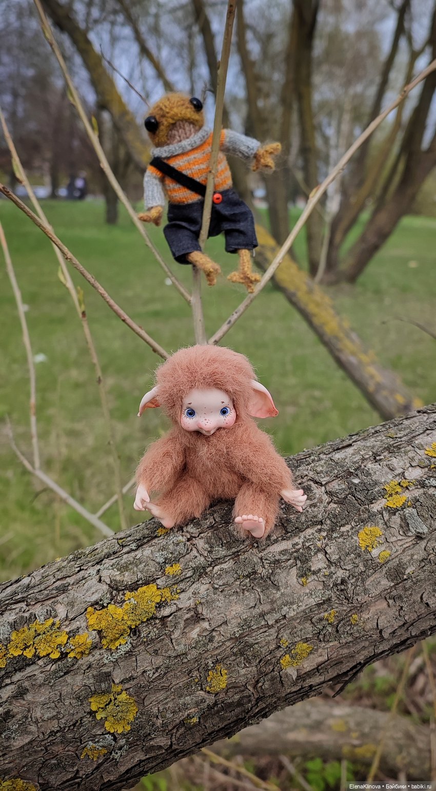 Весеннее путешествие Ангуса (фото 4)