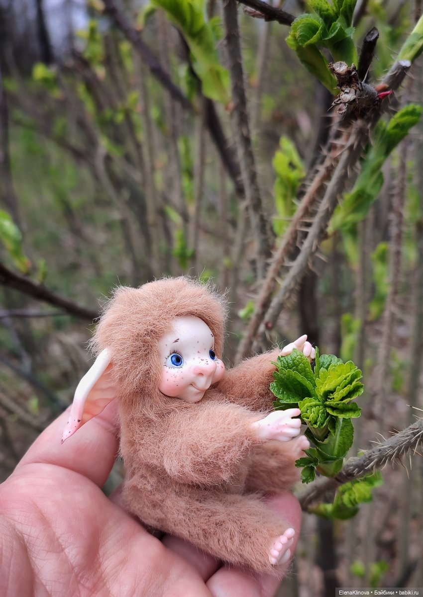 Весеннее путешествие Ангуса