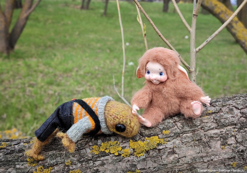 Весеннее путешествие Ангуса (фото 5)