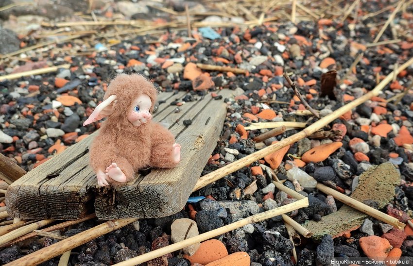 Весеннее путешествие Ангуса (фото 7)