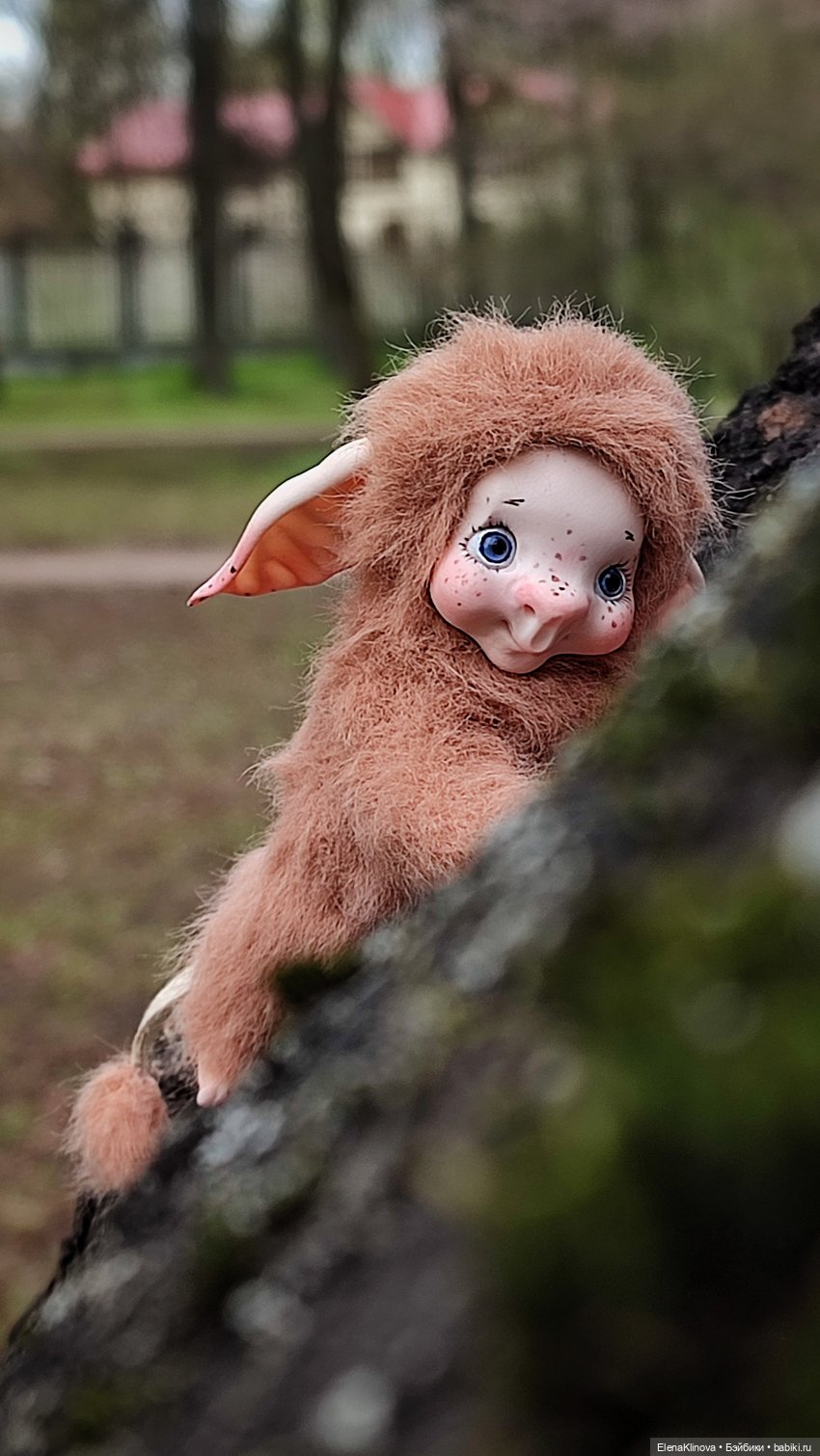 Весеннее путешествие Ангуса (фото 2)