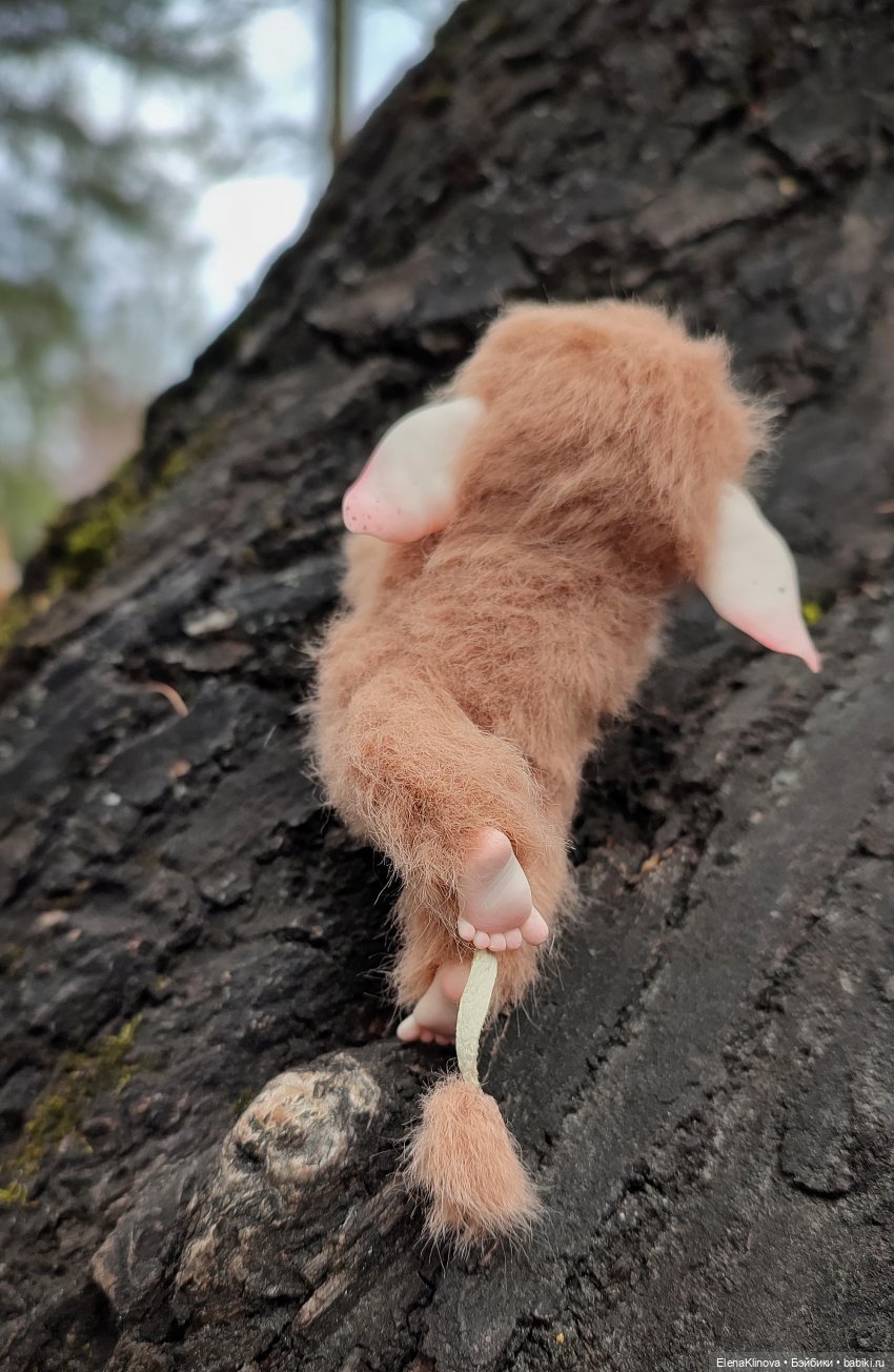 Весеннее путешествие Ангуса (фото 3)