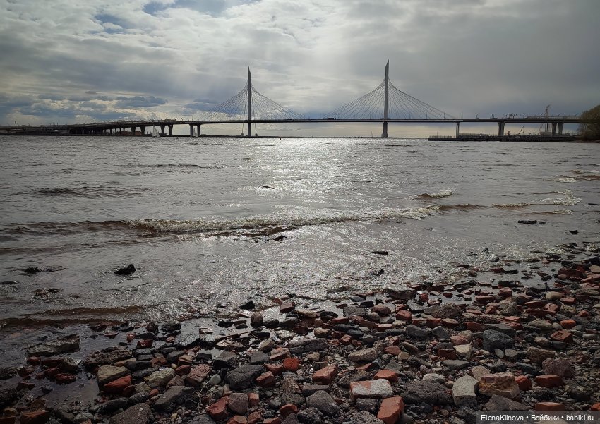 Весеннее путешествие Ангуса (фото 8)