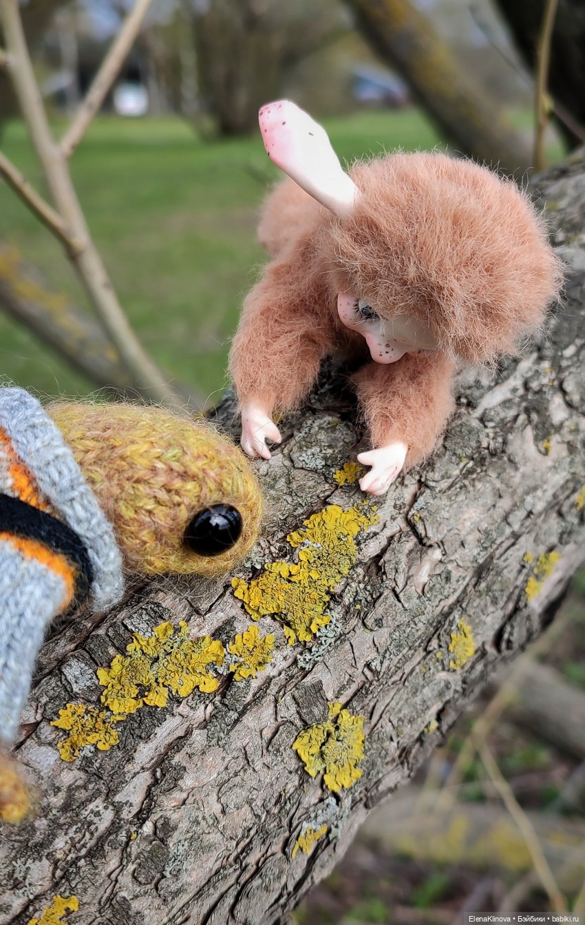 Весеннее путешествие Ангуса (фото 6)