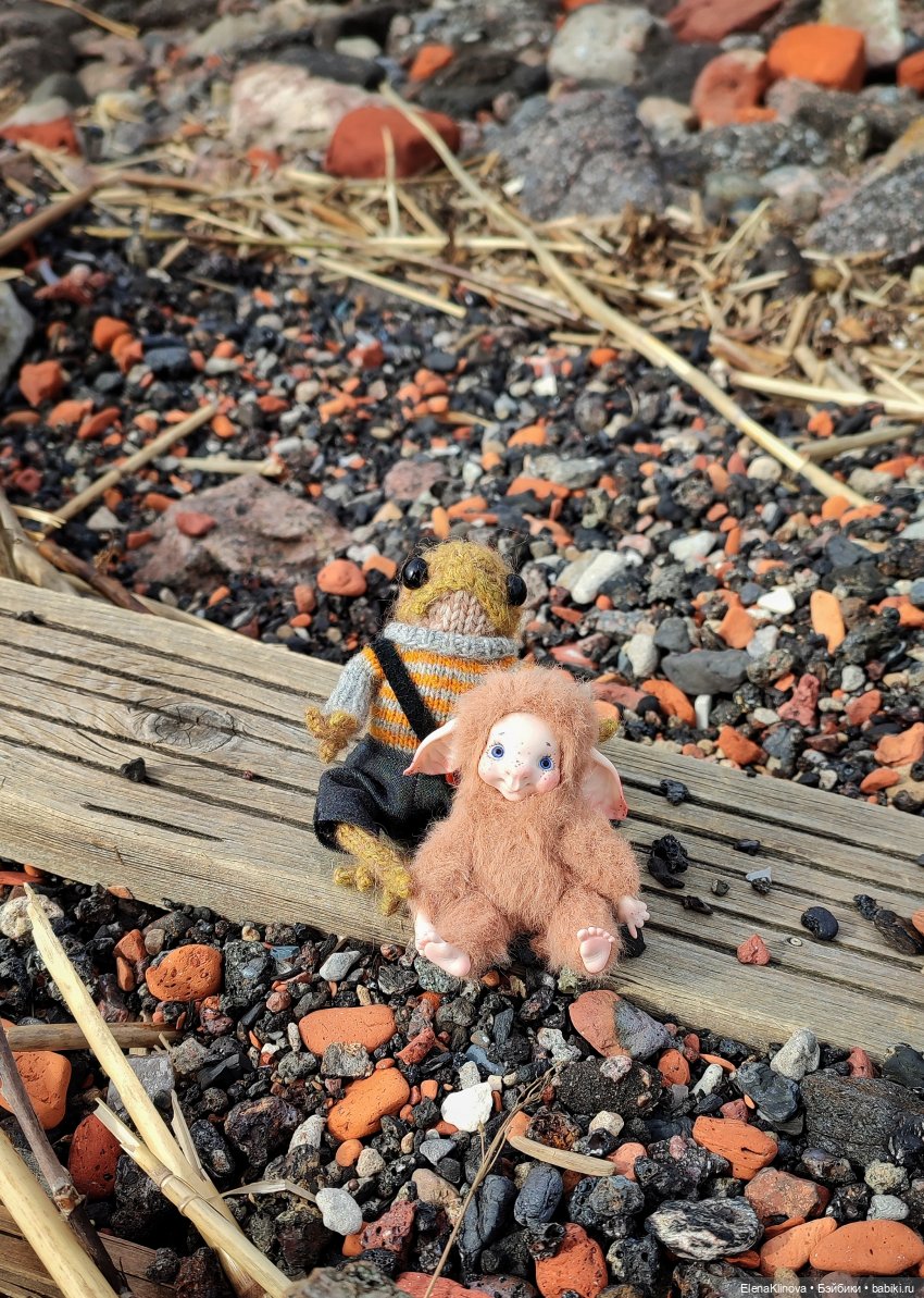 Весеннее путешествие Ангуса (фото 9)