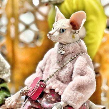 Бал кукол в Севкабеле: существа