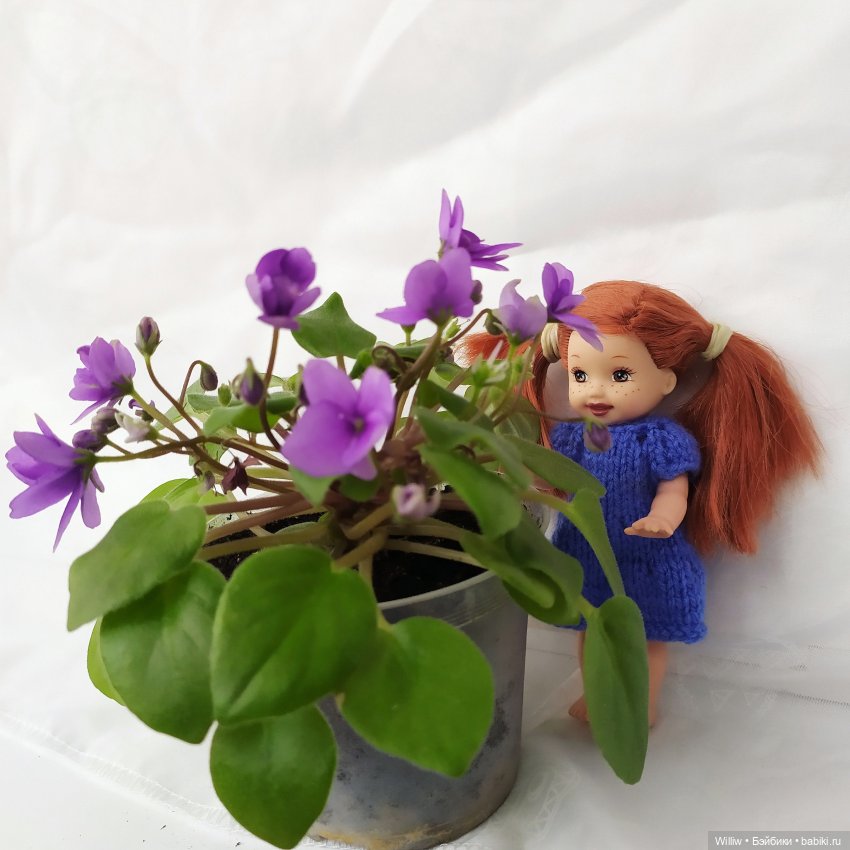 Из жизни Келличек — Куклы Kelly (Келли): Сестра Барби (фото 4)