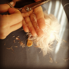 Школа НОВЫЙ ОБРАЗ dolls