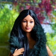 Голова Барби Североамериканка Barbie Northwest Coast Native American