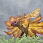 Осенний кленовый дракон