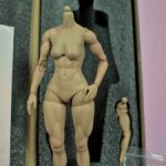 Экшен-тело Worldbox АТ206 женское, с поворотными бедрами