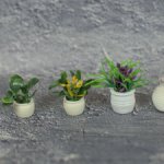 Комнатные растения для кукол