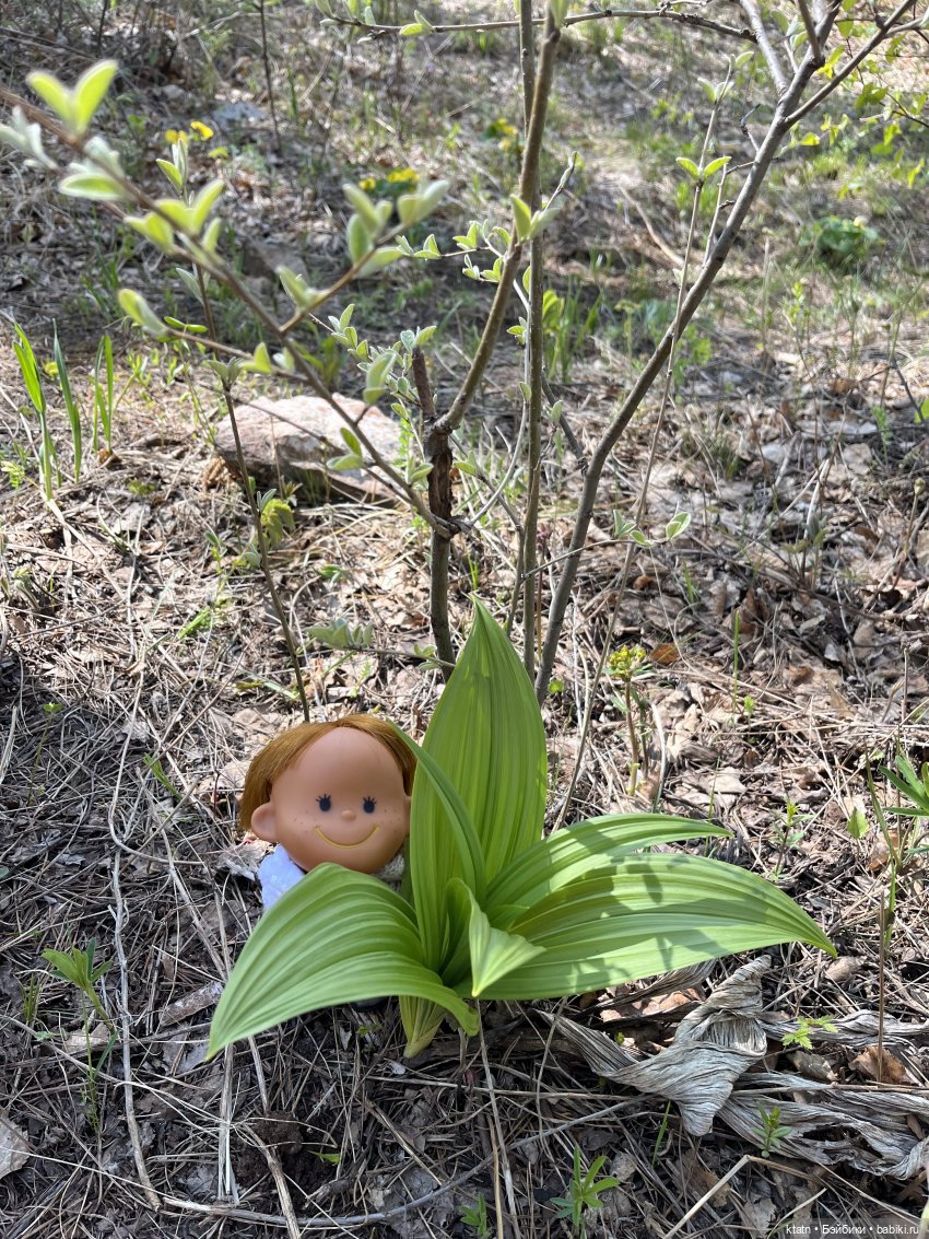 Мы это сделали — Игровые куклы разных производителей (Разное): редкие бренды