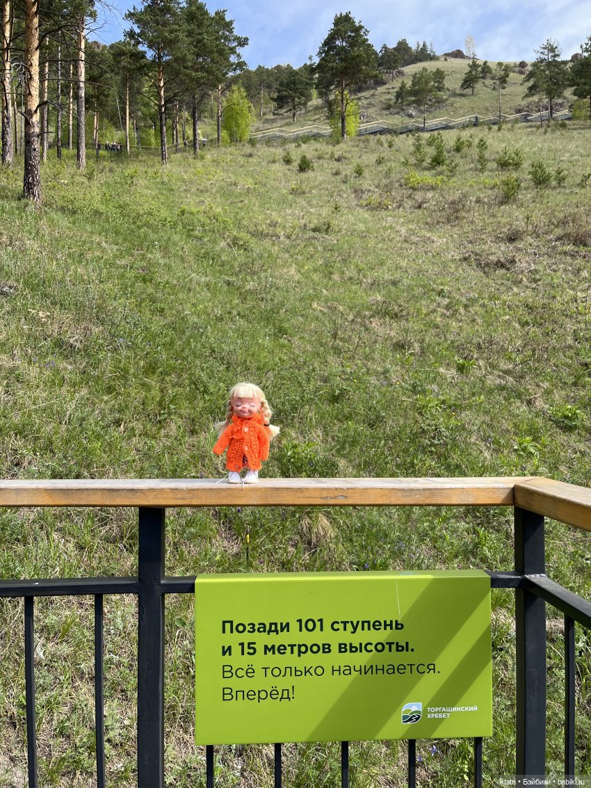 Мы это сделали — Игровые куклы разных производителей (Разное): редкие бренды (фото 5)