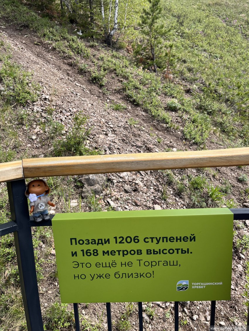 Мы это сделали — Игровые куклы разных производителей (Разное): редкие бренды