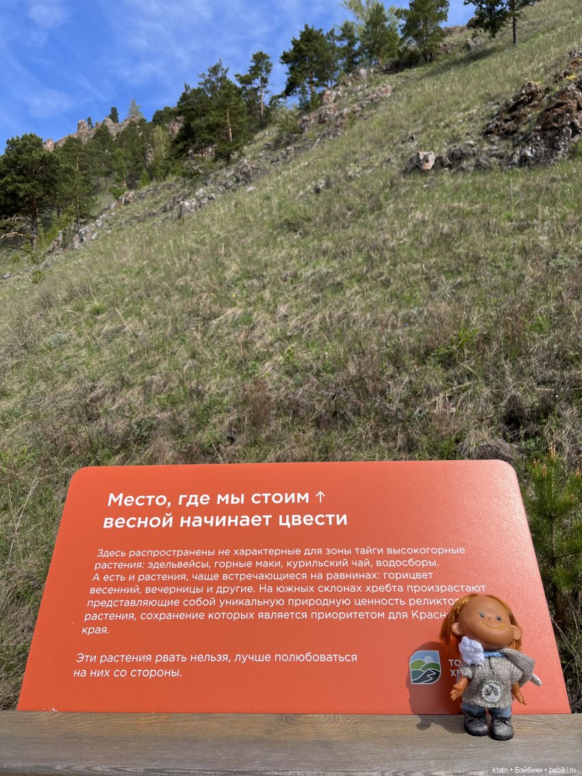 Мы это сделали — Игровые куклы разных производителей (Разное): редкие бренды (фото 10)