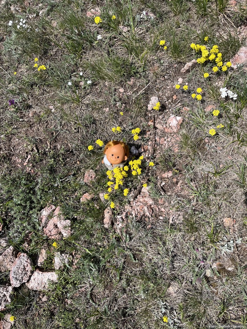 Мы это сделали — Игровые куклы разных производителей (Разное): редкие бренды