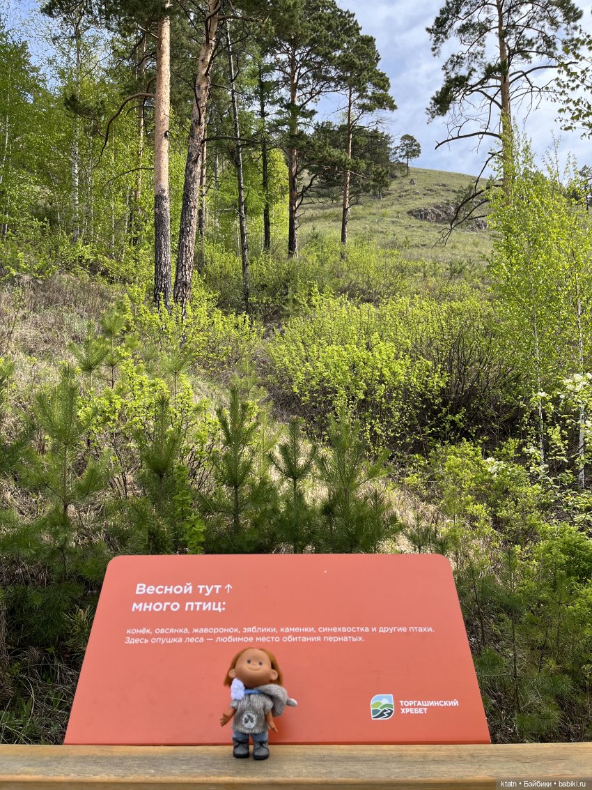 Мы это сделали — Игровые куклы разных производителей (Разное): редкие бренды (фото 8)