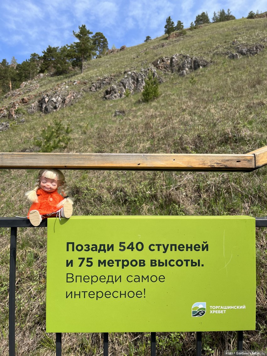 Мы это сделали — Игровые куклы разных производителей (Разное): редкие бренды