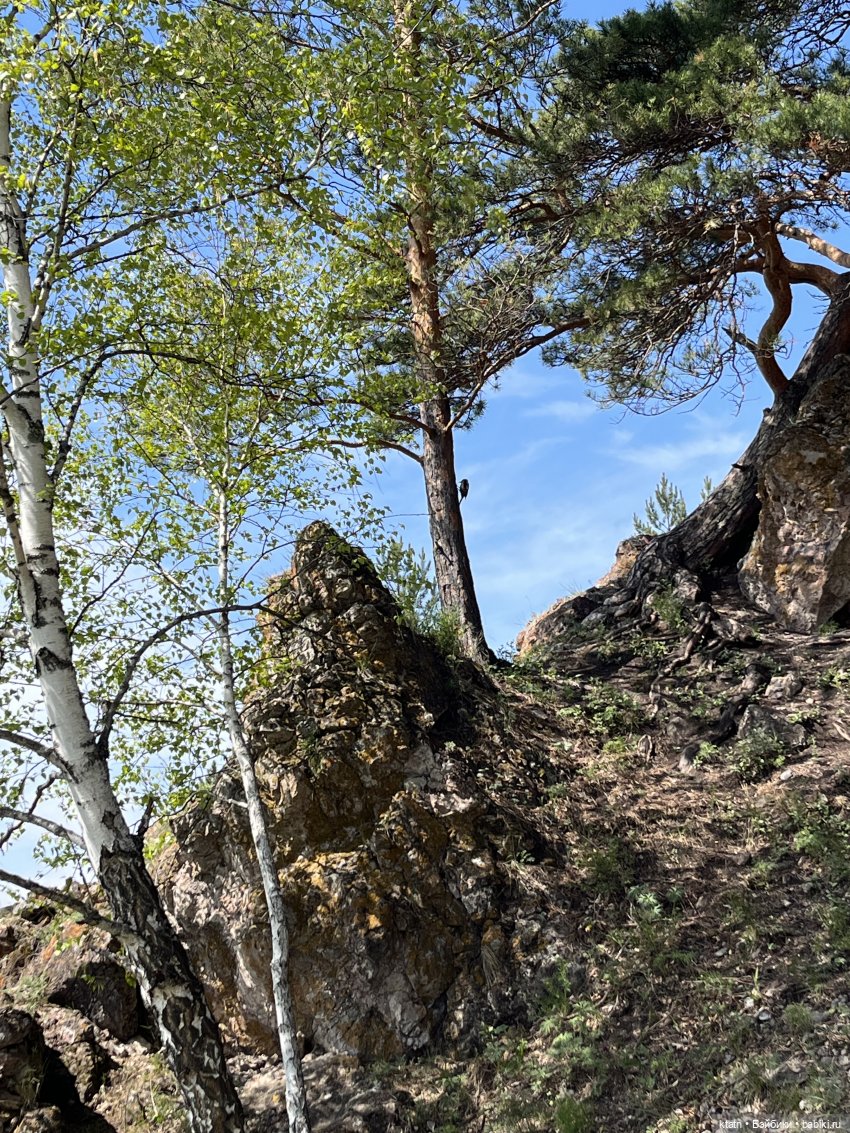 Мы это сделали — Игровые куклы разных производителей (Разное): редкие бренды