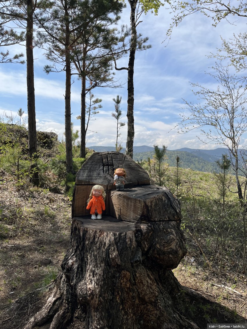 Мы это сделали — Игровые куклы разных производителей (Разное): редкие бренды