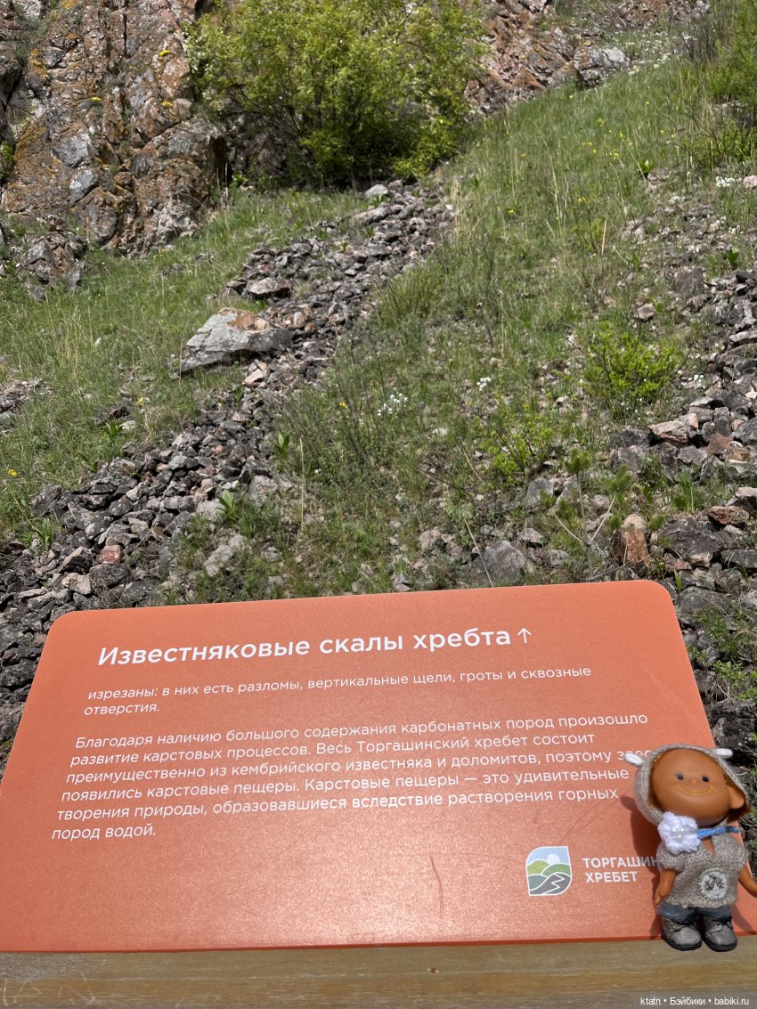 Мы это сделали — Игровые куклы разных производителей (Разное): редкие бренды